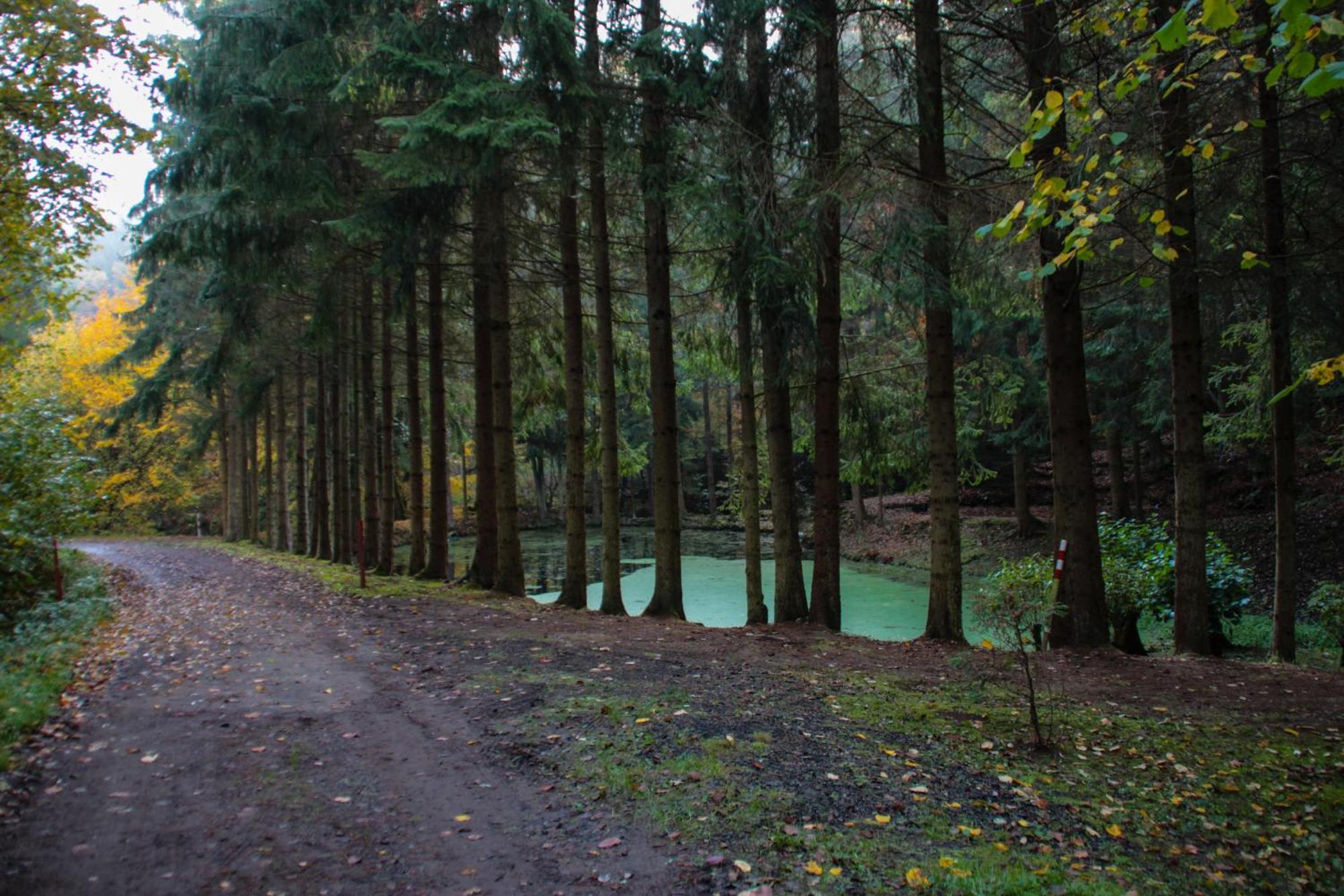 Fh "Baeren Ecke" Am See Im Hessischen Bergland Kirchheim  Kültér fotó