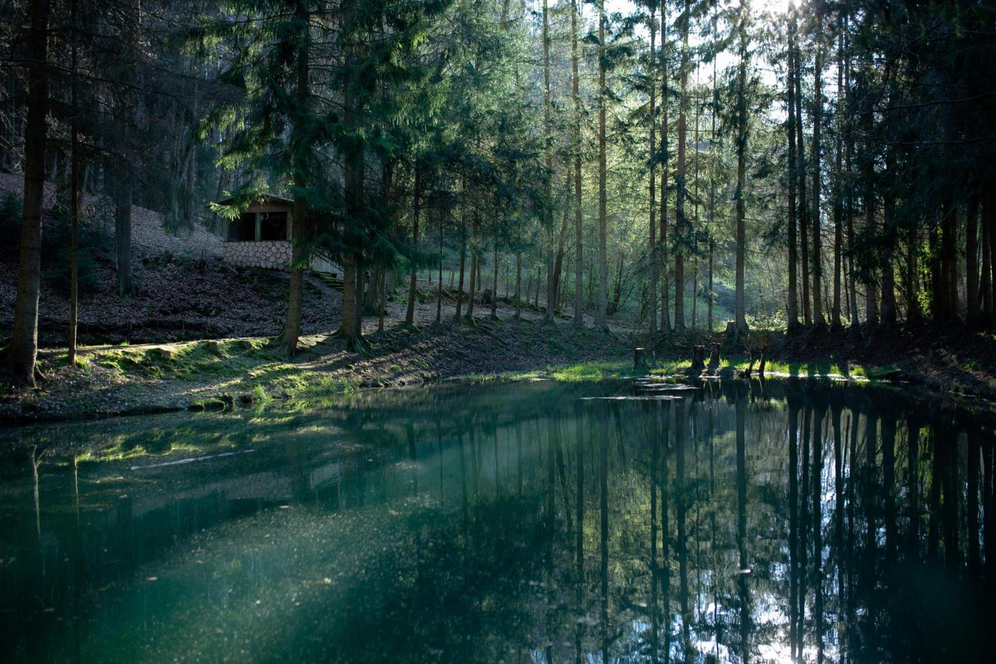 Fh "Baeren Ecke" Am See Im Hessischen Bergland Kirchheim  Kültér fotó